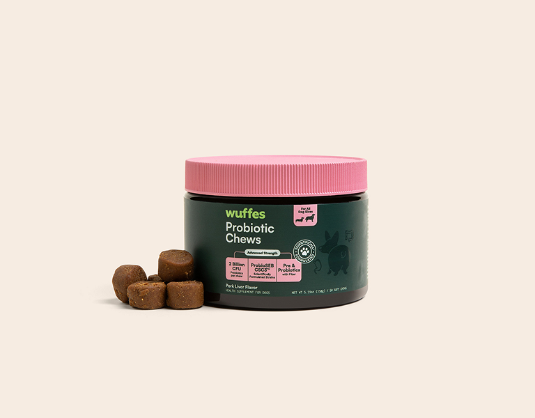Container of dog probiotic chews with pink lid and several brown chews beside it