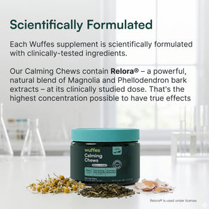 Wuffes Calming Chews jar with natural ingredients and calming supplement text on white background