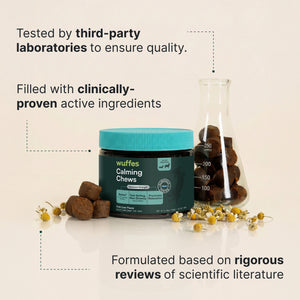 Jar of calming chews with chamomile flowers and scientific flask filled with chews