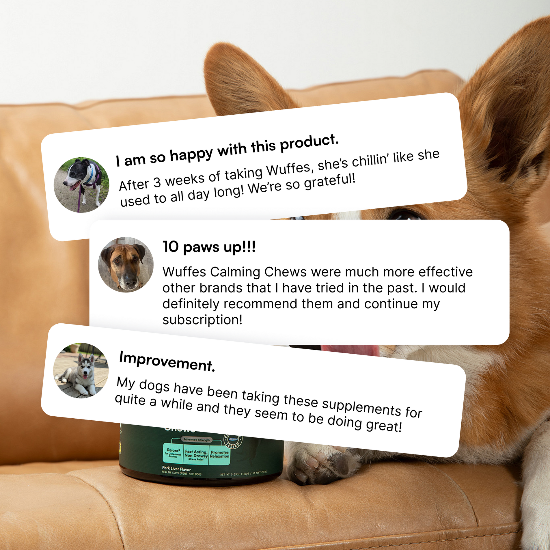 Three customer reviews with dog photos overlaying a dog resting on a brown couch.