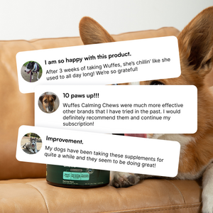 Three customer reviews with dog photos overlaying a dog resting on a brown couch.