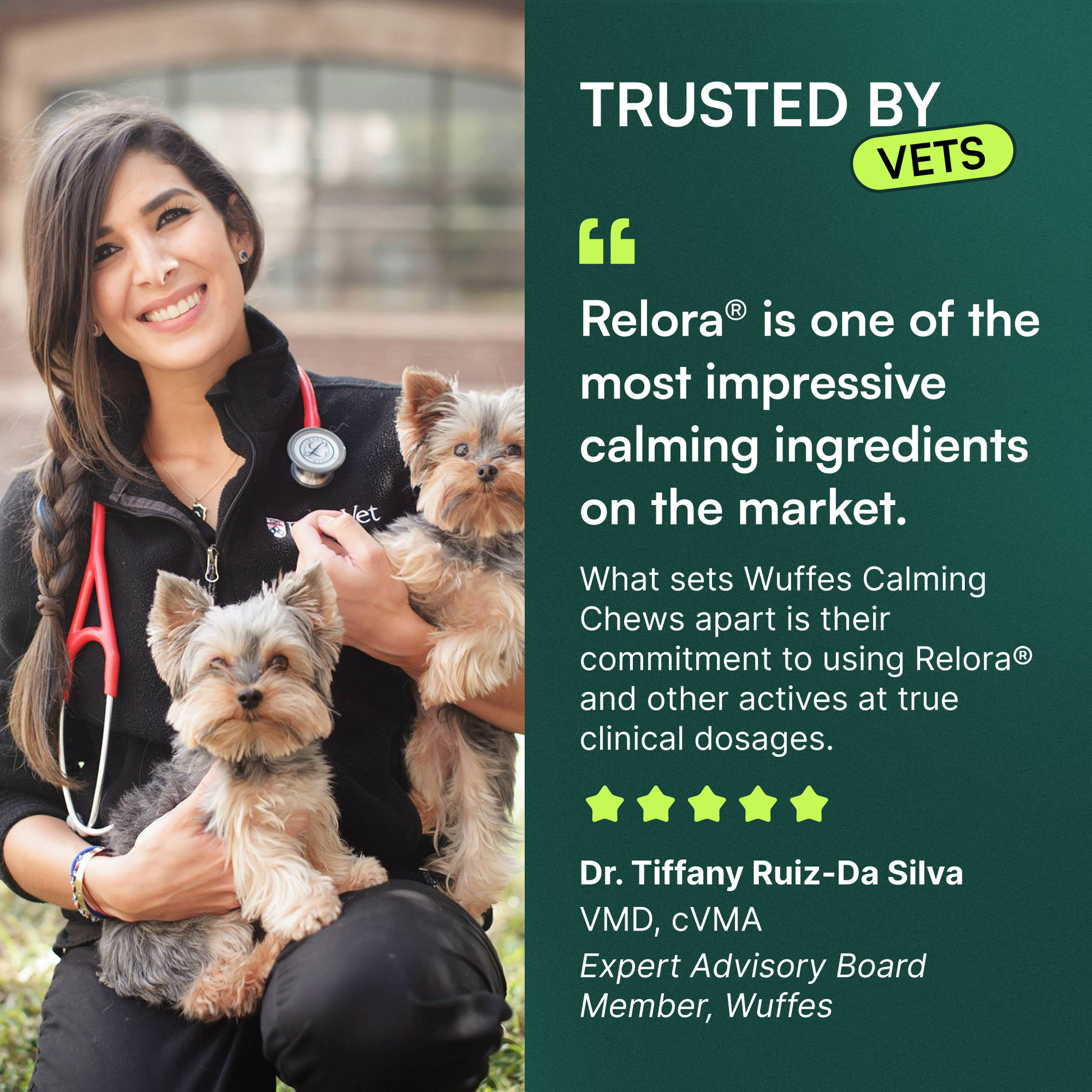 Veterinarian holding two small dogs with text endorsing Wuffes Calming Chews ingredients.