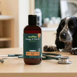 Bottle of omega-3 fish oil for pets on table near stethoscope and black and white dog