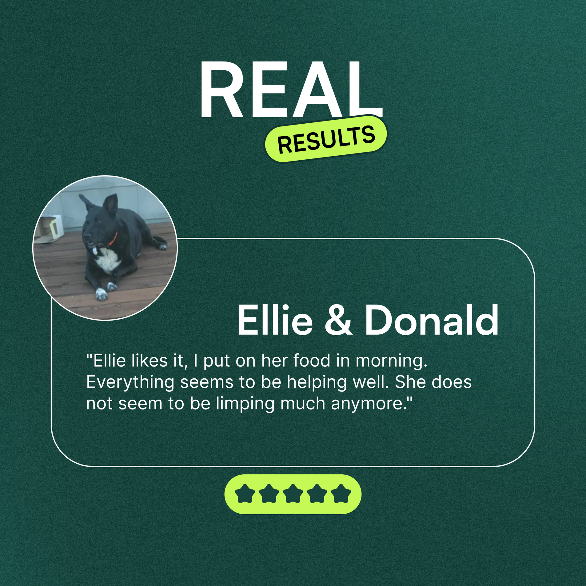 Testimonial with photo of black dog and positive feedback on joint health supplement benefits