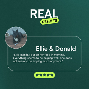 Testimonial with photo of black dog and positive feedback on joint health supplement benefits