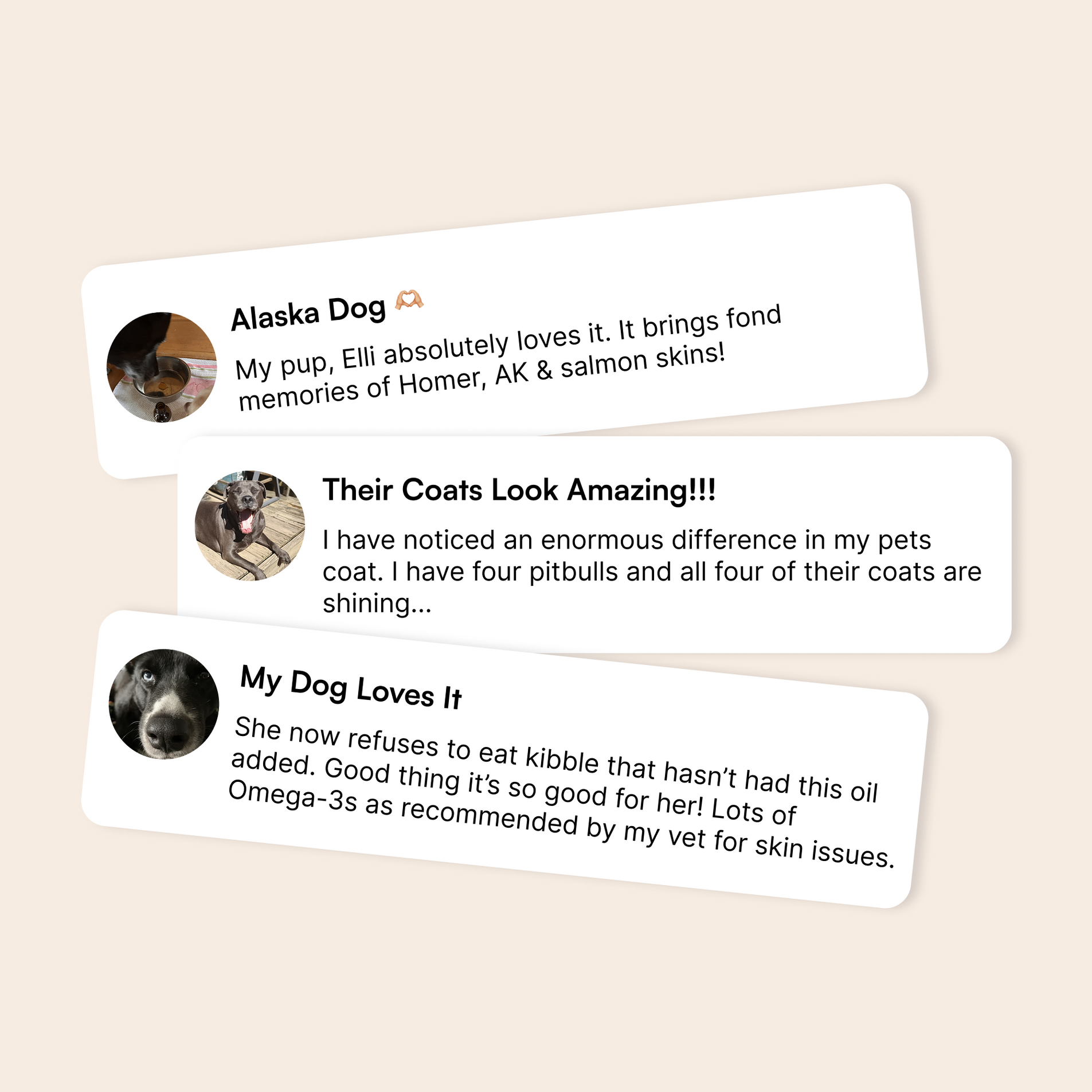 Three user reviews praising improvements in their dogs’ coat and health with omega-3 supplement.