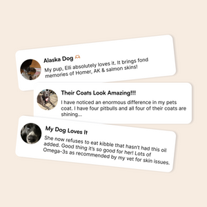 Three user reviews praising improvements in their dogs’ coat and health with omega-3 supplement.