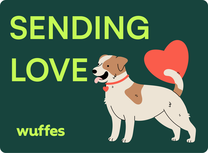 $25.00 / Gift card 14