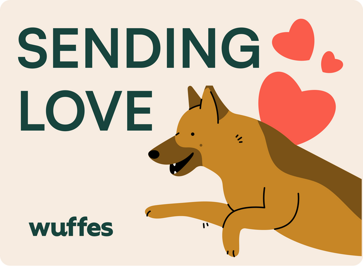 $25.00 / Gift card 15