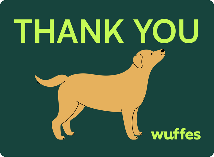 $25.00 / Gift card 5