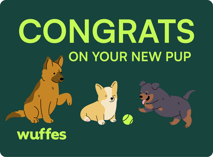 $25.00 / Gift card 8