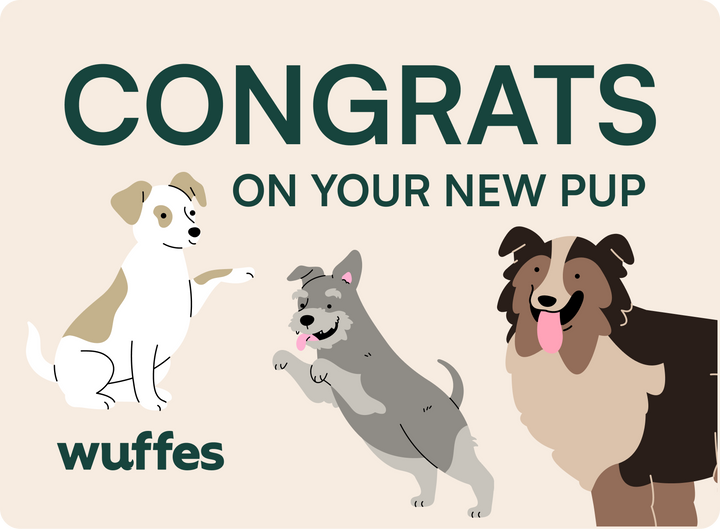 $25.00 / Gift card 9