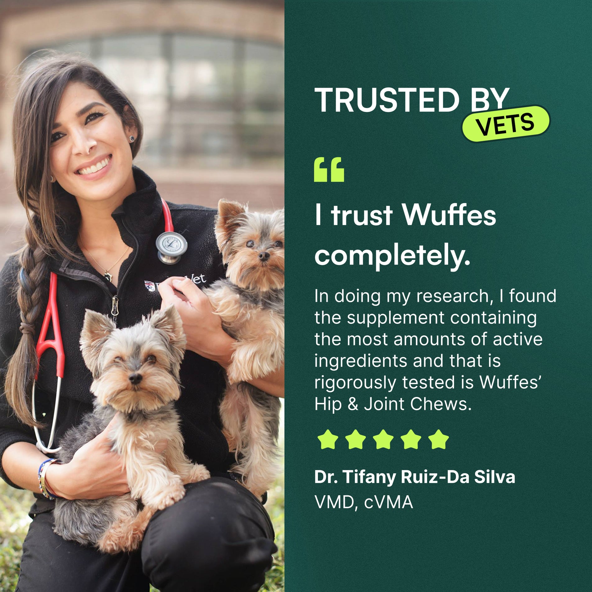 Veterinarian holding two small dogs beside testimonial text about Wuffes hip and joint chews