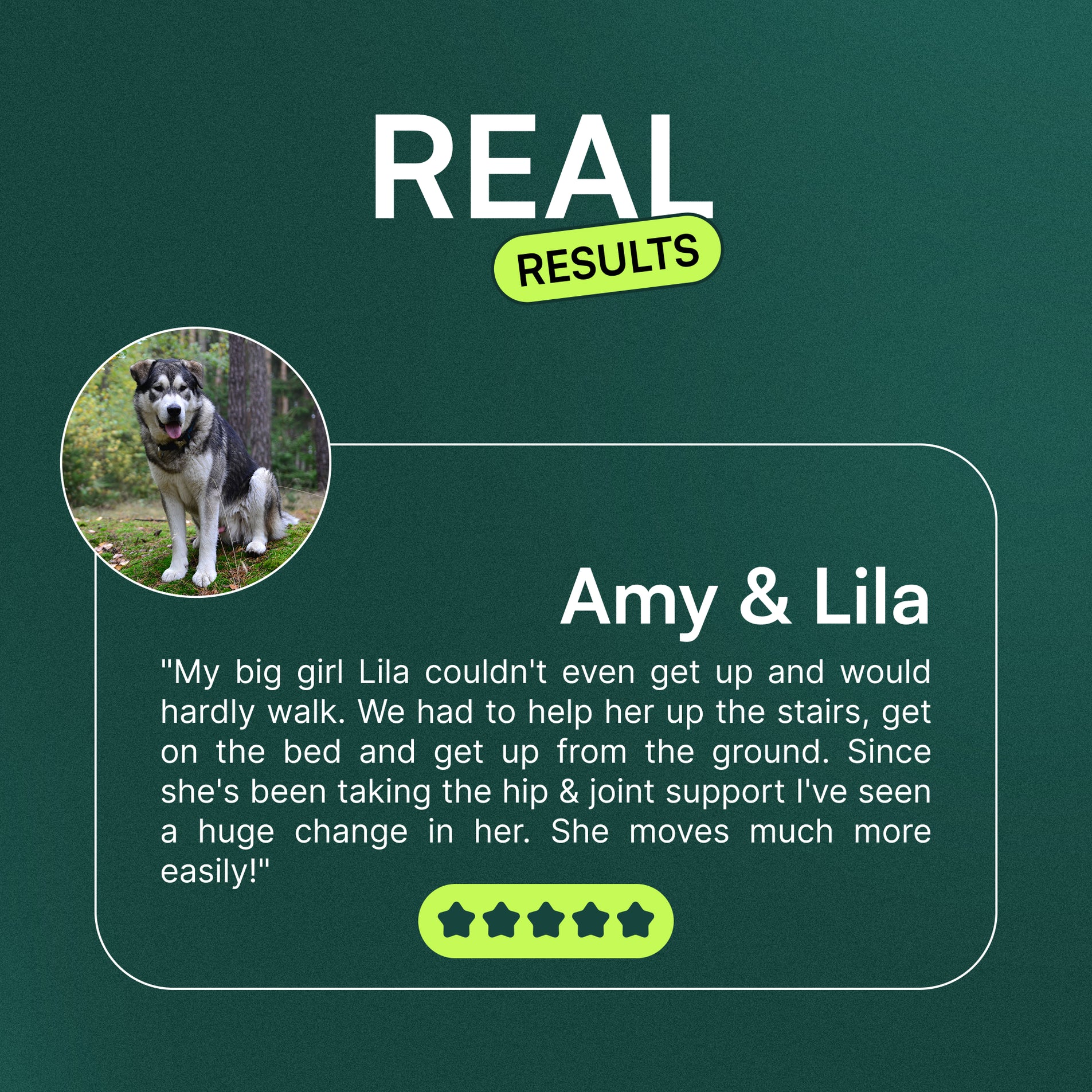 Testimonial text from Amy about improved mobility in her dog Lila with hip and joint support.
