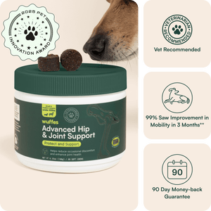 Dog sniffing advanced hip and joint support chews container with award and vet icons
