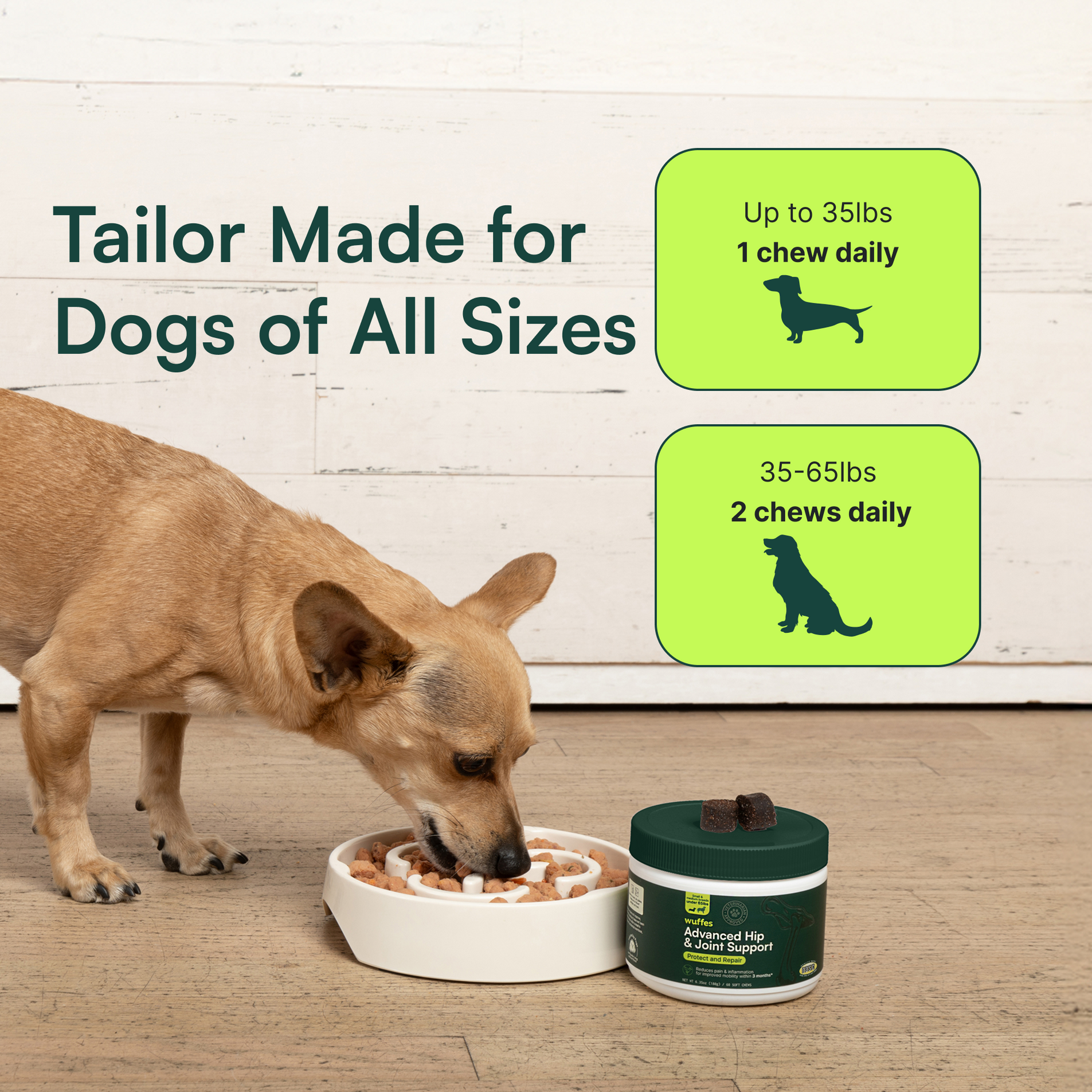 Small dog eating from a bowl beside joint support chews with dosage instructions for dog sizes