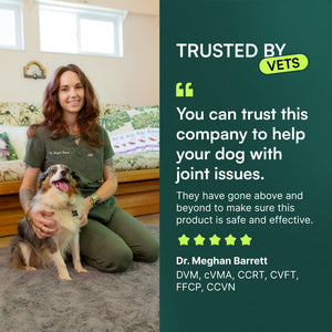 Veterinarian sitting on floor with dog beside quote endorsing joint health support for dogs