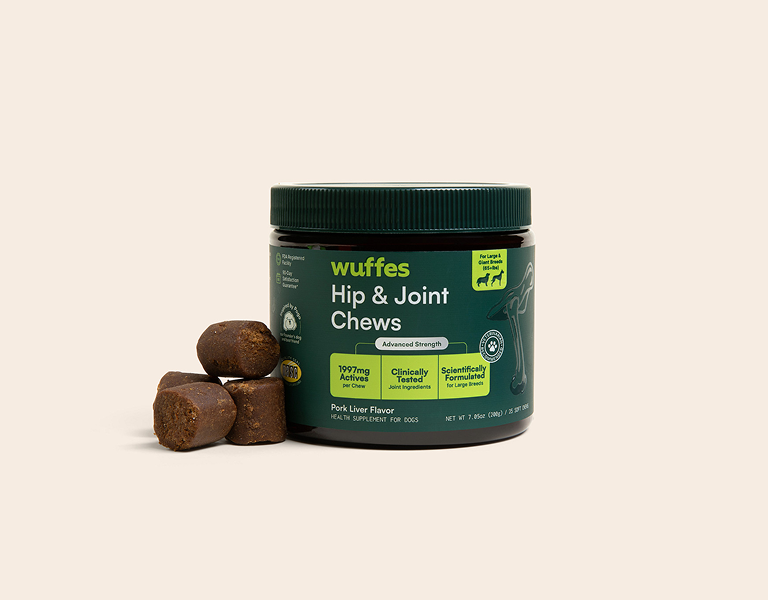 Container of green-lidded hip and joint chews for dogs with three chews displayed nearby