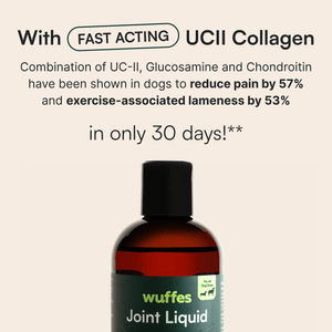 Bottle of Wuffes Joint Liquid supplement with text highlighting fast-acting UCII collagen benefits for dogs