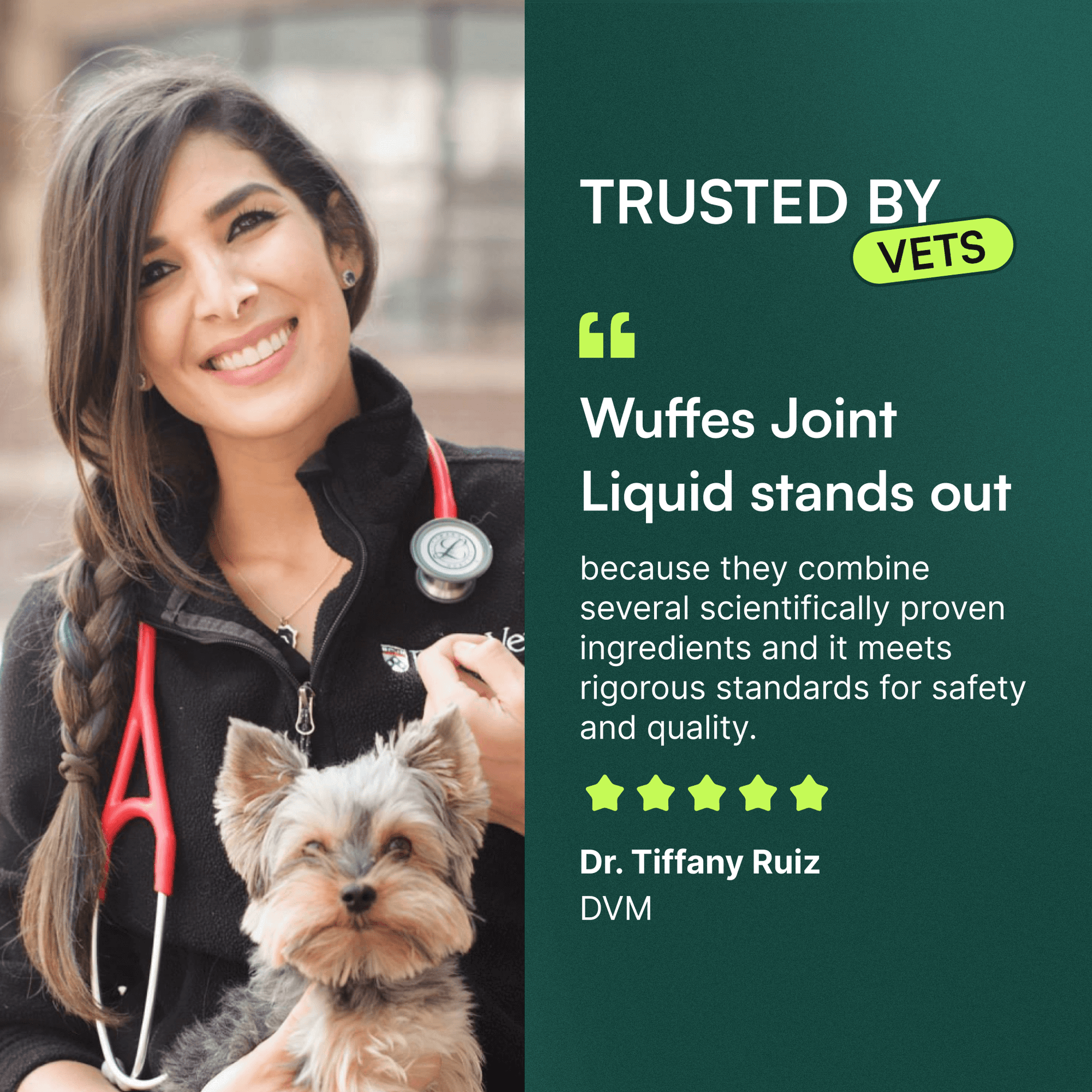 Veterinarian holding a small dog with testimonial text about joint supplement safety and quality.