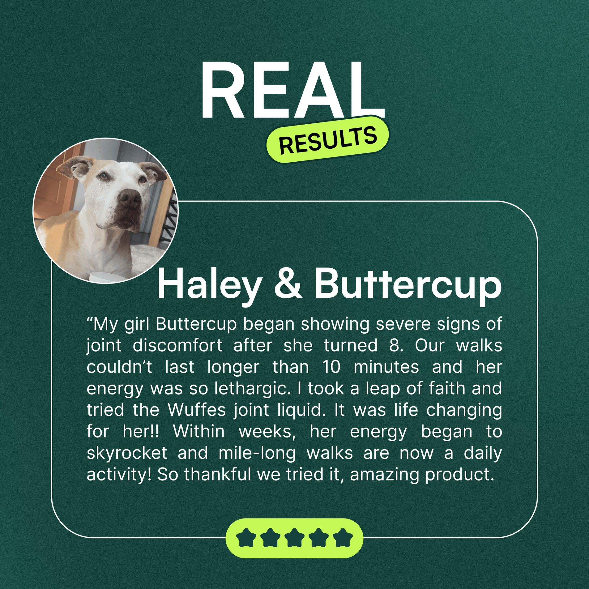 Testimonial about improved dog joint health and increased energy with joint supplement use