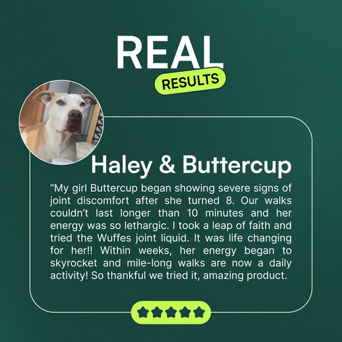 Testimonial text from Haley about Buttercup’s improved joint health and increased energy after using joint supplement