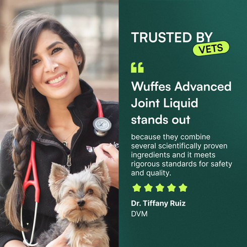 Female veterinarian smiling with small dog and testimonial text about joint health supplement trust