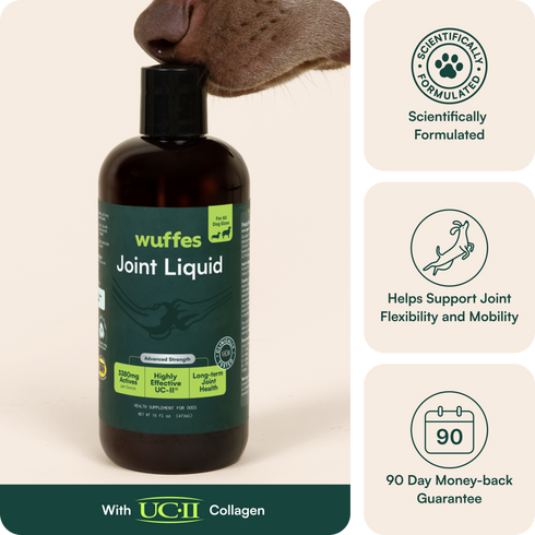 Bottle of joint liquid supplement for dogs with dog nose sniffing and benefit icons