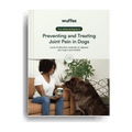 Joint Health Guide