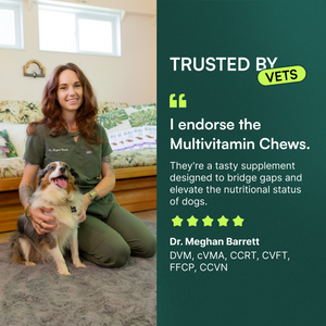Veterinarian sitting with a happy dog endorsing multivitamin chews for dogs.