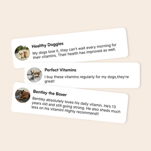 Customer testimonials praising dog vitamins with profile pictures of dogs beside each review