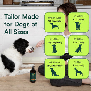 Feeding guide chart with daily teaspoons based on dog weight and silhouettes of dog sizes