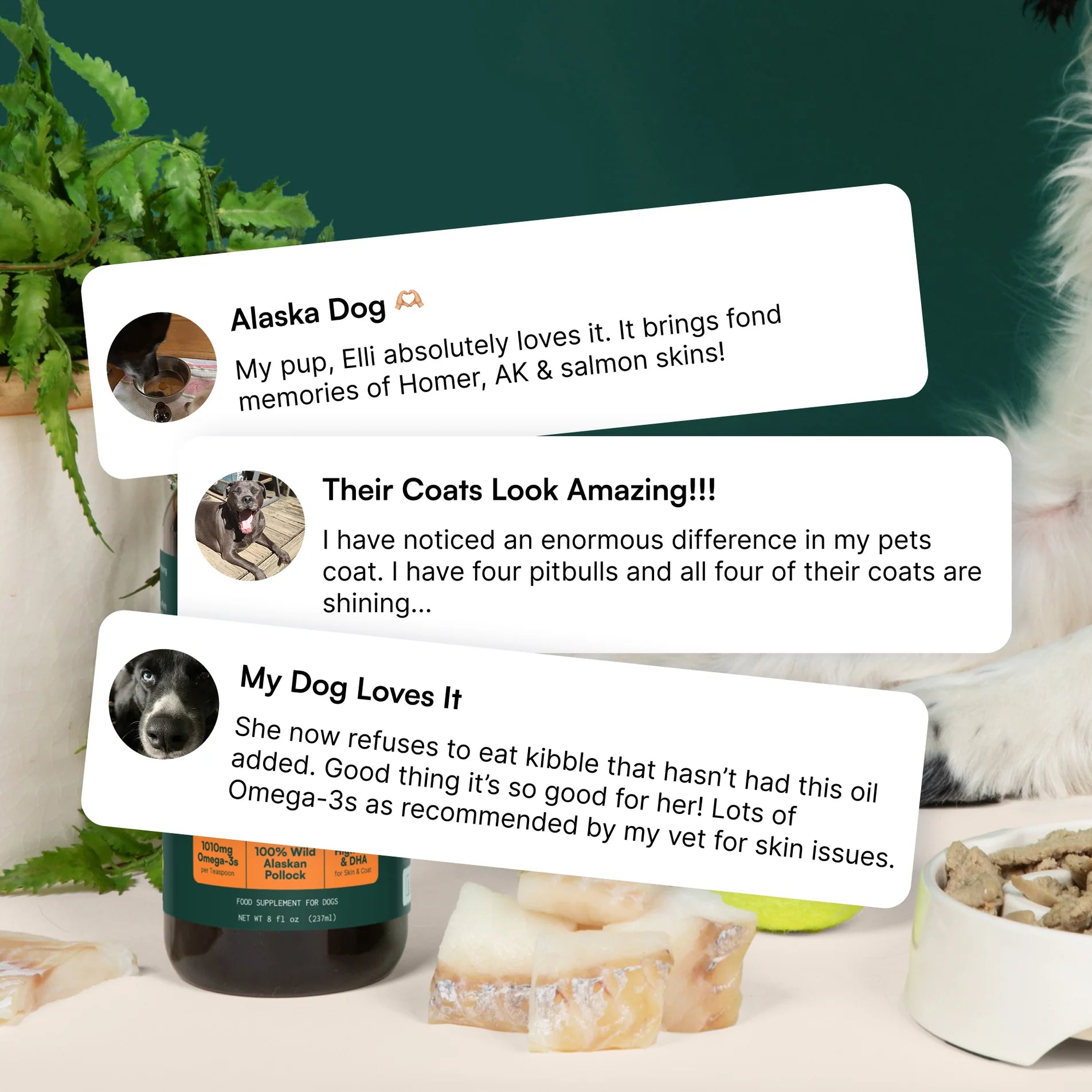 Three dog owner reviews praising a supplement for improving coat quality and skin health.