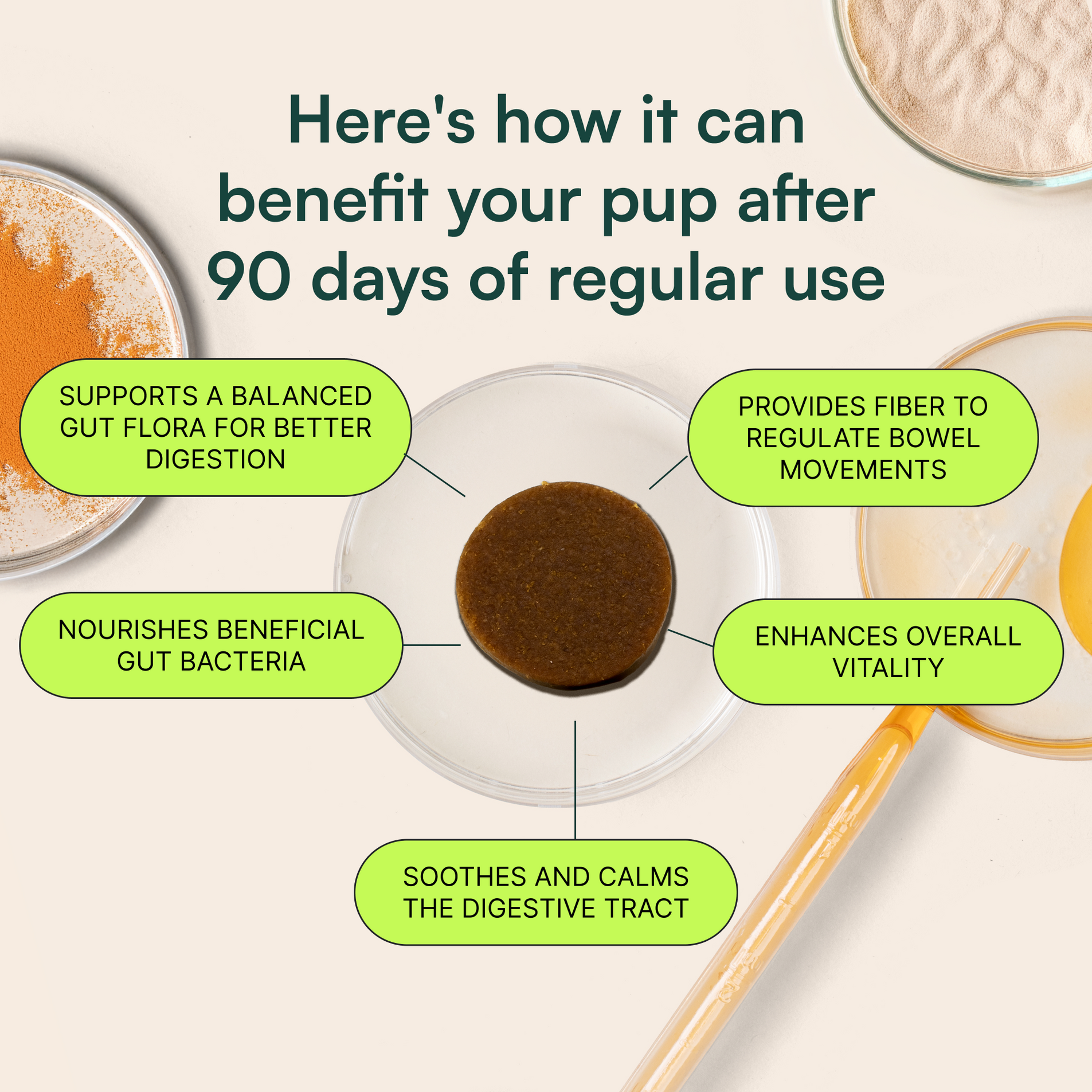 Diagram showing a dog supplement with benefits for digestion, gut bacteria, bowel regulation, and vitality
