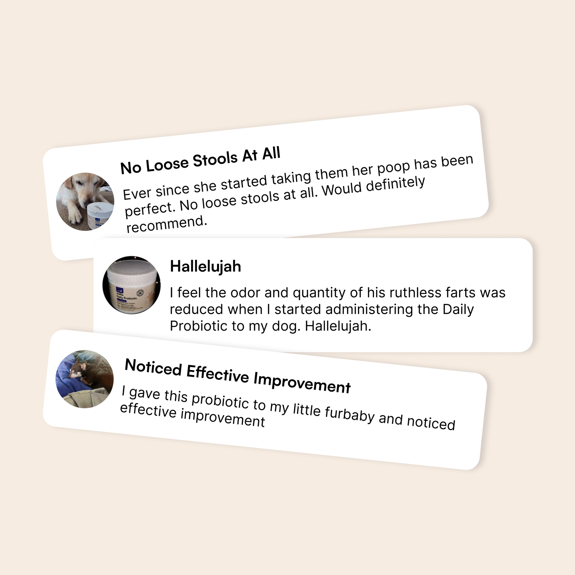 Three dog owner reviews praising a probiotic for improving stool, odor, and health.