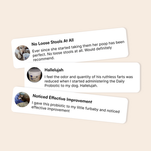 Three dog owner reviews praising a probiotic for improving stool, odor, and health.