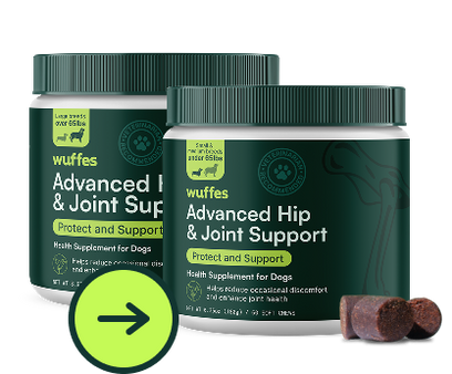 Advanced Hip & Joint Support