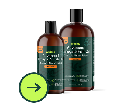 Advanced Omega 3 Fish Oil