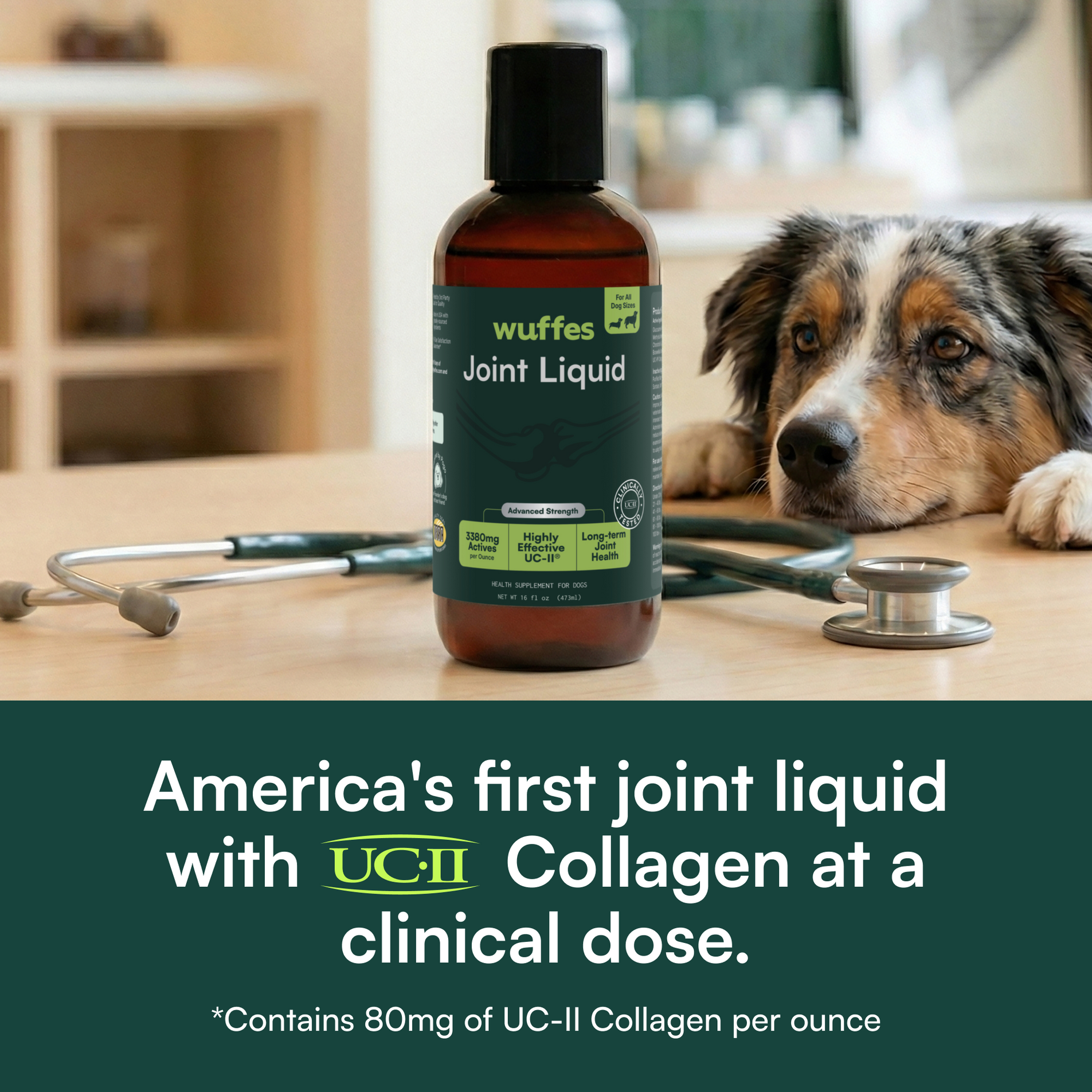 Dog joint liquid supplement bottle with stethoscope and dog resting head nearby