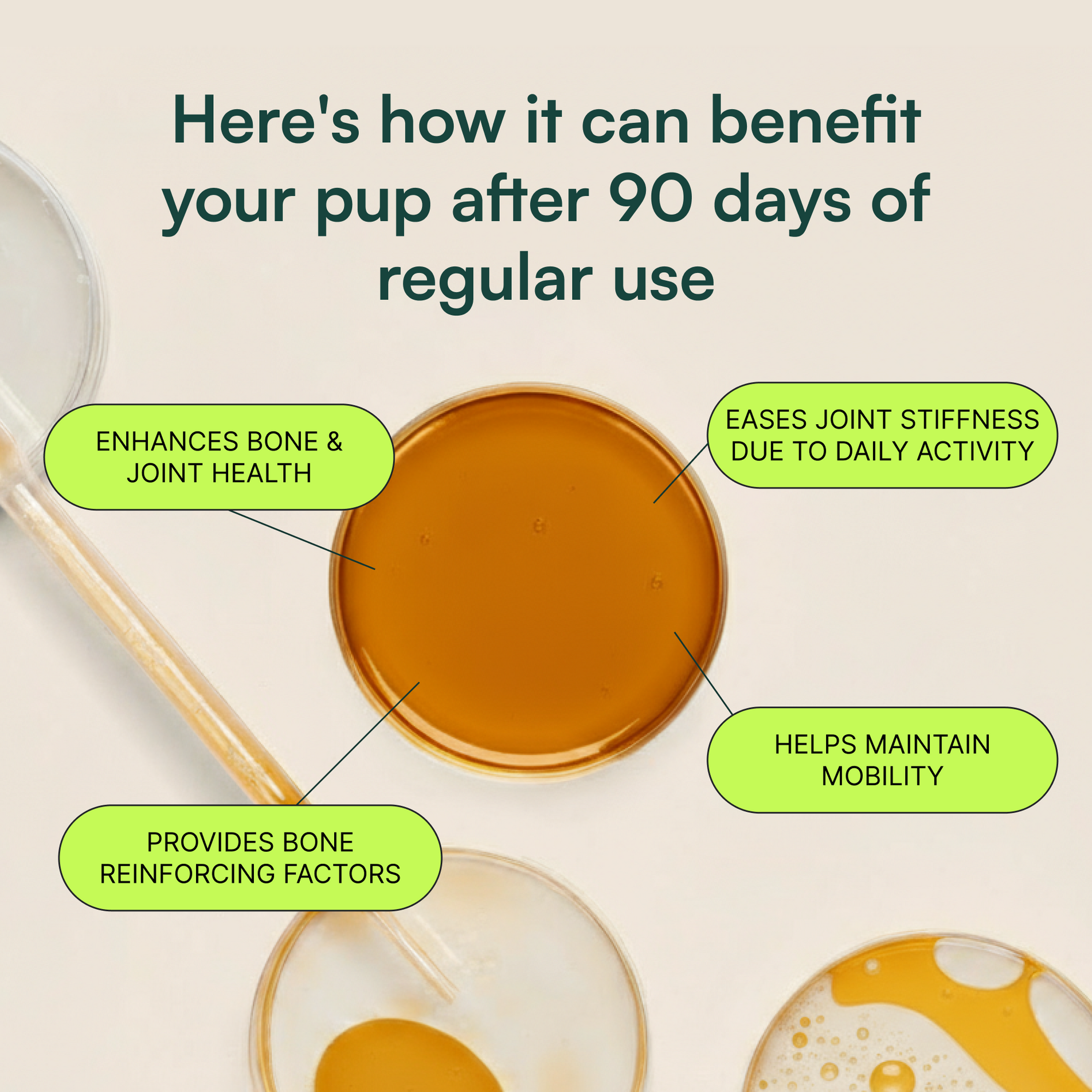 Overhead view of amber liquid in glass dishes with benefits for dog joint health noted