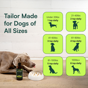 Brown dog lying next to white bowl and pet supplement dosage chart by weight categories