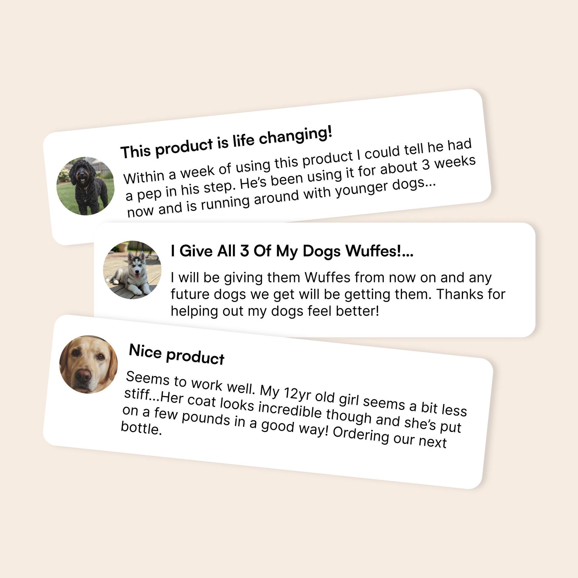 Three dog owner testimonials praising joint health supplements and their dogs’ improved activity
