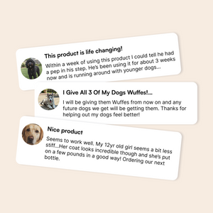 Three dog owner testimonials praising joint health supplements and their dogs’ improved activity