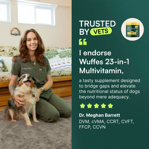 Multivitamin Chews + Probiotic Chews