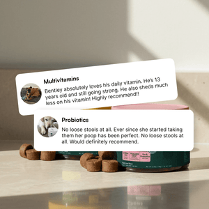 Multivitamin Chews + Probiotic Chews