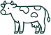Simple black and white illustration of a standing cow with distinct patches on its body