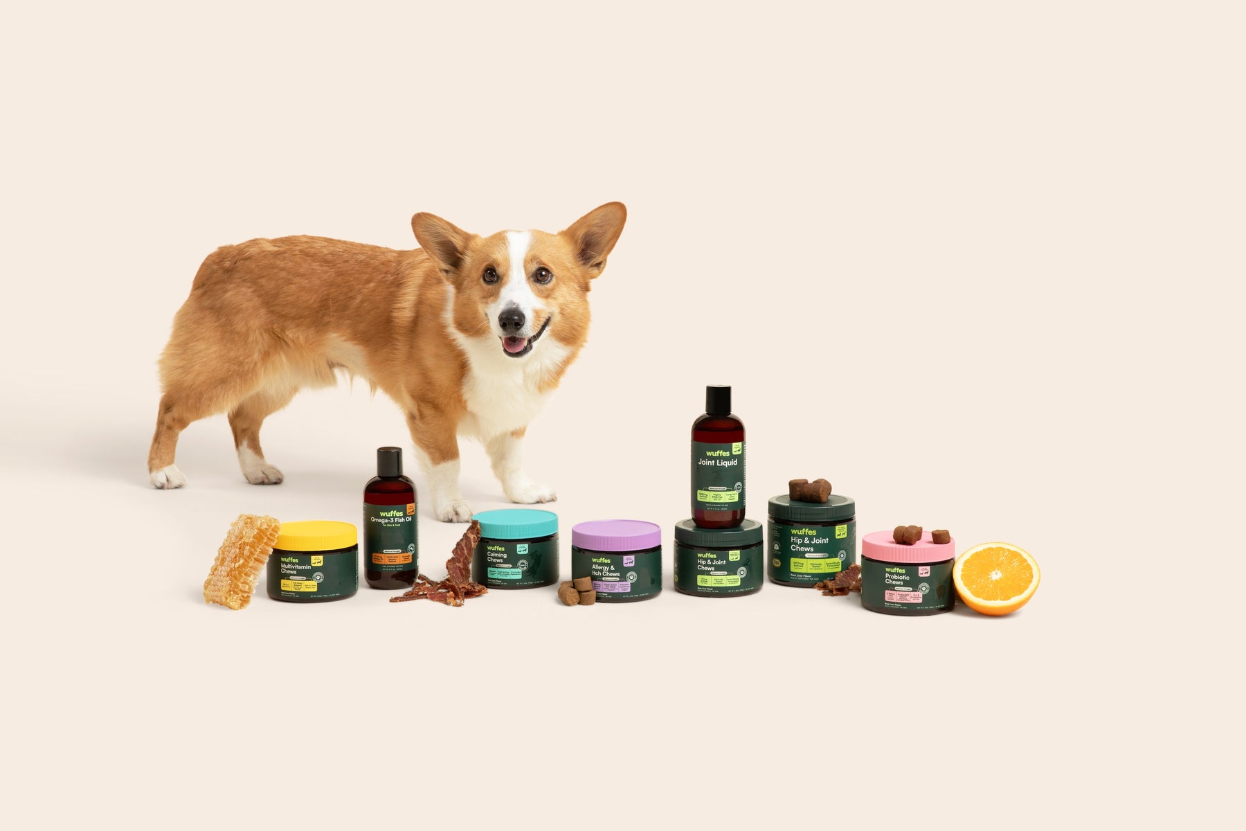 Corgi dog standing beside various jars and bottles of dog supplements with treats and orange slice nearby