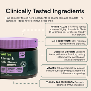 Jar of dog allergy chews with ingredient benefits for skin and immune support displayed