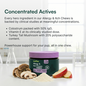 Container of Allergy & Itch Chews with mushroom slices, powder, and apple on a white surface