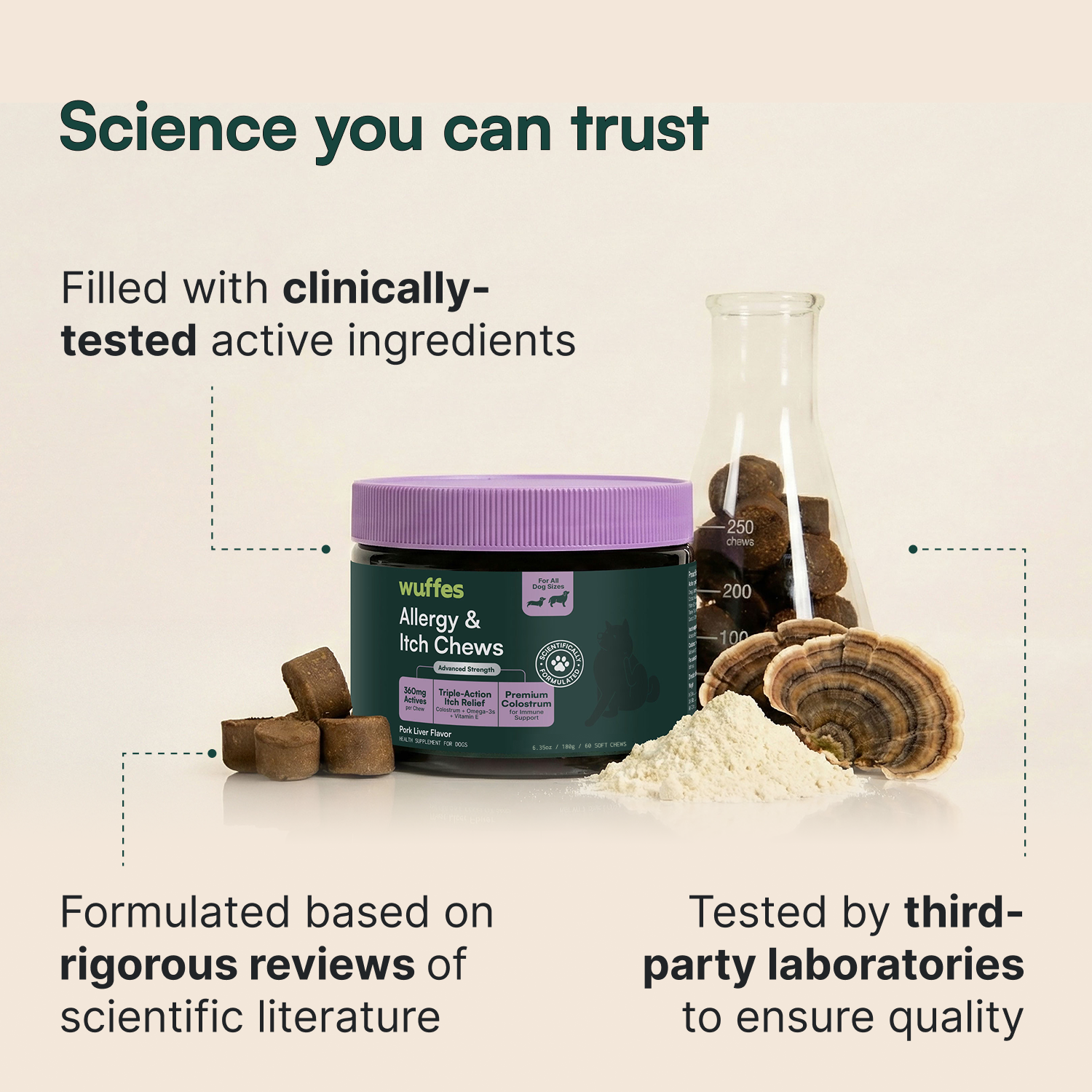 Container of allergy and itch chews beside powder, mushroom slice, and glass lab flask